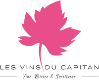 footer-logo